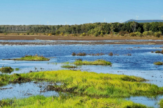 ed_1660611757.png 1.png