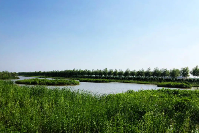 ed_1660611867.png 2.png