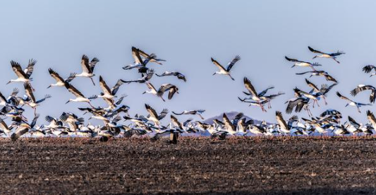 ed_1670550687.png 1.png