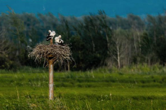 ed_1670550706.png 3.png