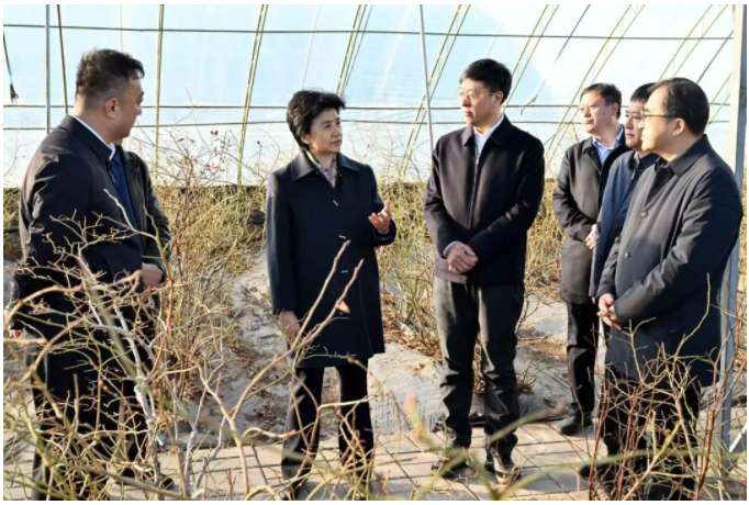 ed_1681715063.png 2.png