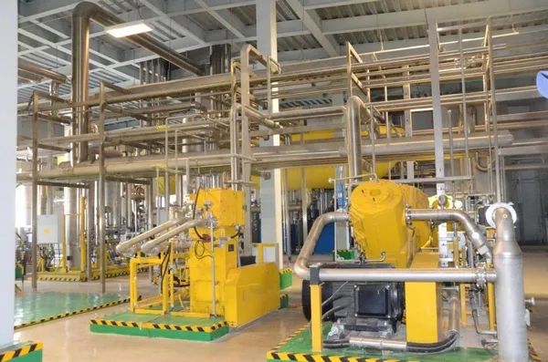 ed_1684715164.jpg 3.jpg