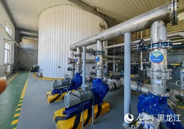 ed_1684715174.jpg 4.jpg