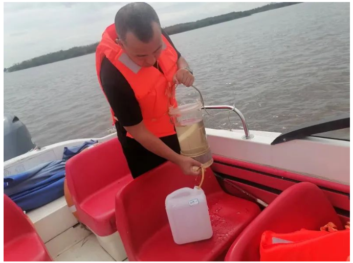 ed_1693879527.png 2.png