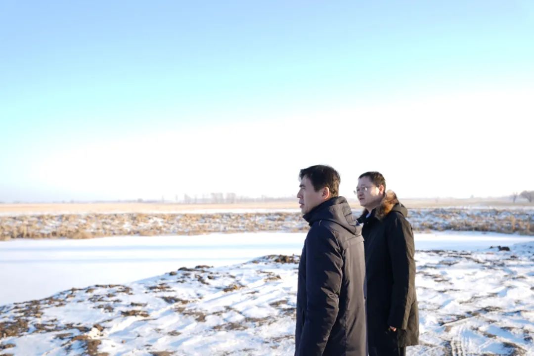 ed_1739428280.jpg 11.jpg