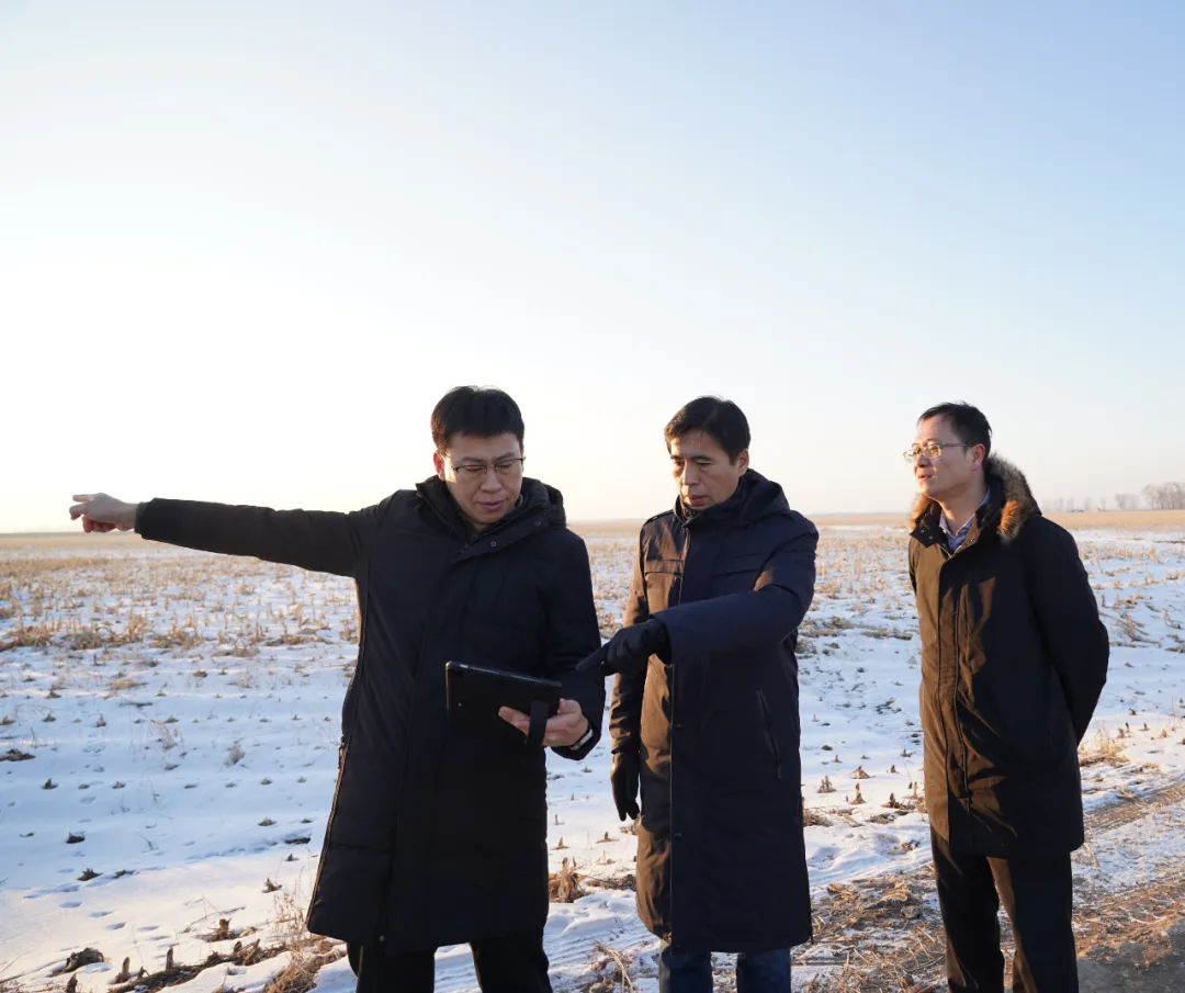 ed_1739428294.jpg 2.jpg