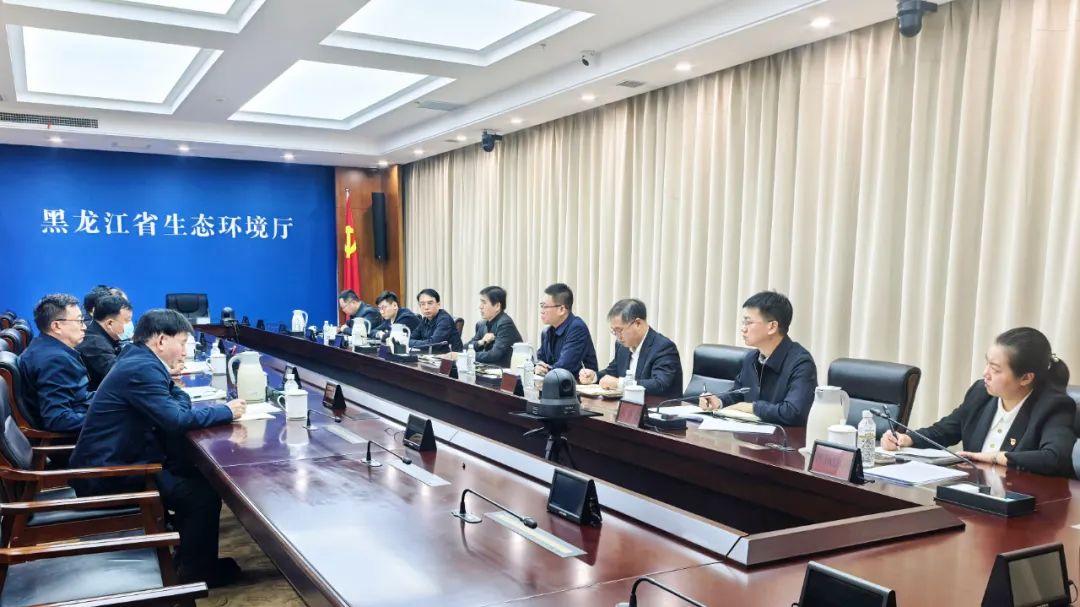 ed_1739429240.jpg 11.jpg