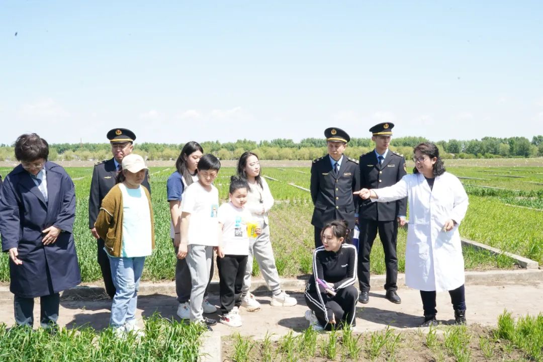 ed_1748585743.jpg 3.jpg